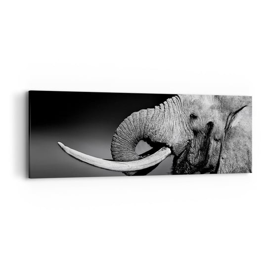 Obraz na płótnie - Tak, teraz dobrze - 90x30cm - Zwierzęta Słoń Afryka - Nowoczesny Canvas obraz do salonu do sypialni ARTTOR ARTTOR