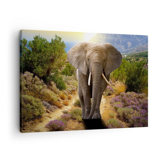 Obraz na płótnie - Tak wyglądał Eden - 70x50cm - Zwierzęta Słoń Safari - Nowoczesny Canvas obraz do salonu do sypialni ARTTOR ARTTOR