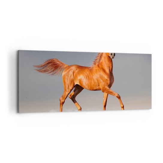 Obraz na płótnie - Tańcząca gracja - 100x40cm - Zwierzęta Koń Natura - Nowoczesny foto obraz w ramie do salonu do sypialni ARTTOR ARTTOR