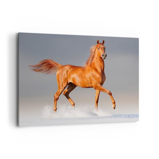 Obraz na płótnie - Tańcząca gracja - 100x70cm - Zwierzęta Koń Natura - Nowoczesny foto obraz w ramie do salonu do sypialni ARTTOR ARTTOR