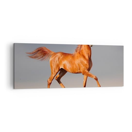 Obraz na płótnie - Tańcząca gracja - 140x50cm - Zwierzęta Koń Natura - Nowoczesny Canvas obraz do salonu do sypialni ARTTOR ARTTOR