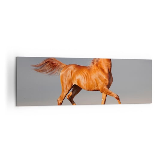 Obraz na płótnie - Tańcząca gracja - 160x50cm - Zwierzęta Koń Natura - Nowoczesny foto obraz w ramie do salonu do sypialni ARTTOR ARTTOR