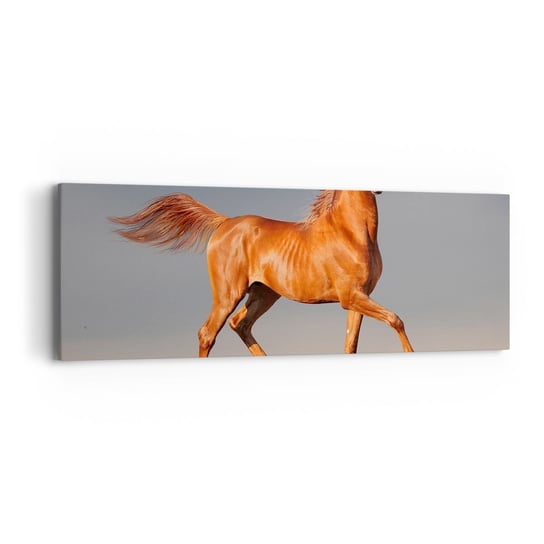 Obraz na płótnie - Tańcząca gracja - 90x30cm - Zwierzęta Koń Natura - Nowoczesny Canvas obraz do salonu do sypialni ARTTOR ARTTOR