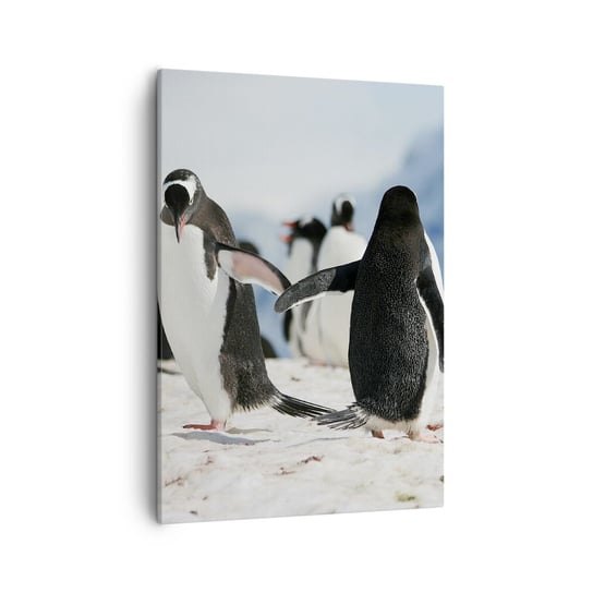 Obraz na płótnie - Taniec na śniegu - 50x70cm - Pingwin Antarktyda Krajobraz - Nowoczesny Canvas obraz do salonu do sypialni ARTTOR ARTTOR