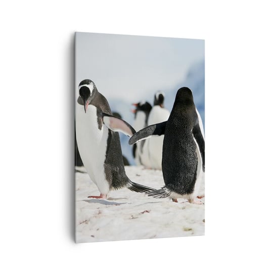Obraz na płótnie - Taniec na śniegu - 70x100cm - Pingwin Antarktyda Krajobraz - Nowoczesny foto obraz w ramie do salonu do sypialni ARTTOR ARTTOR
