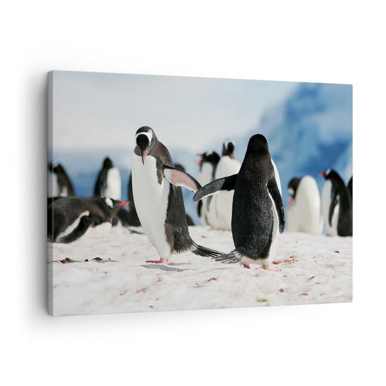 Obraz na płótnie - Taniec na śniegu - 70x50cm - Pingwin Antarktyda Krajobraz - Nowoczesny Canvas obraz do salonu do sypialni ARTTOR ARTTOR