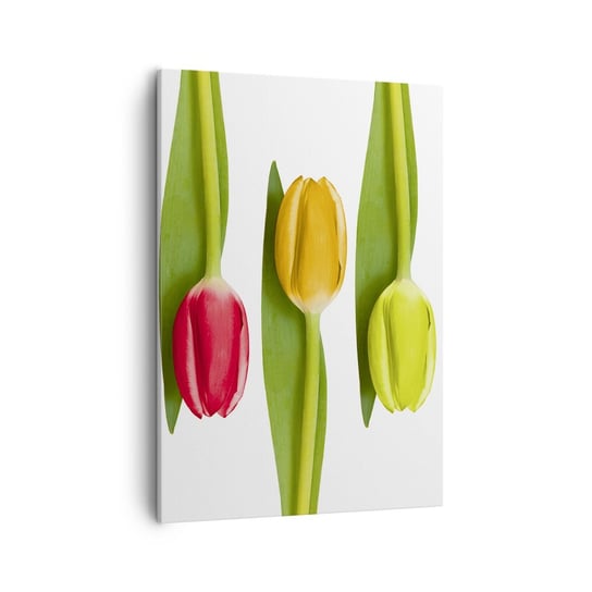 Obraz na płótnie - Tęczowa kompozycja - 50x70cm - Kwiaty Tulipany Natura - Nowoczesny Canvas obraz do salonu do sypialni ARTTOR ARTTOR