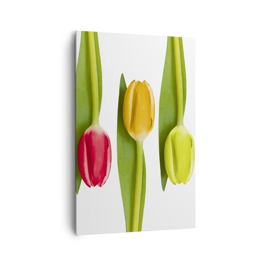 Obraz na płótnie - Tęczowa kompozycja - 80x120cm - Kwiaty Tulipany Natura - Nowoczesny obraz na ścianę do salonu do sypialni ARTTOR ARTTOR