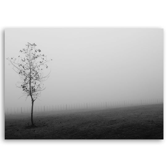Obraz na płótnie The Fog 60x90 Legendarte