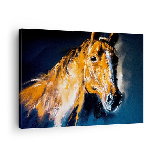 Obraz na płótnie - To co, jedziesz? - 70x50cm - Zwierzęta Koń Klacz - Nowoczesny Canvas obraz do salonu do sypialni ARTTOR ARTTOR