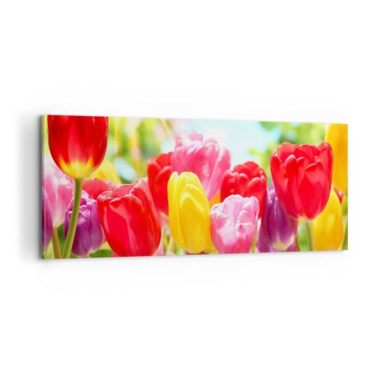 Obraz na płótnie - To my, kolory maja! - 100x40cm - Kwiaty Tulipany Ogród - Nowoczesny foto obraz w ramie do salonu do sypialni ARTTOR ARTTOR