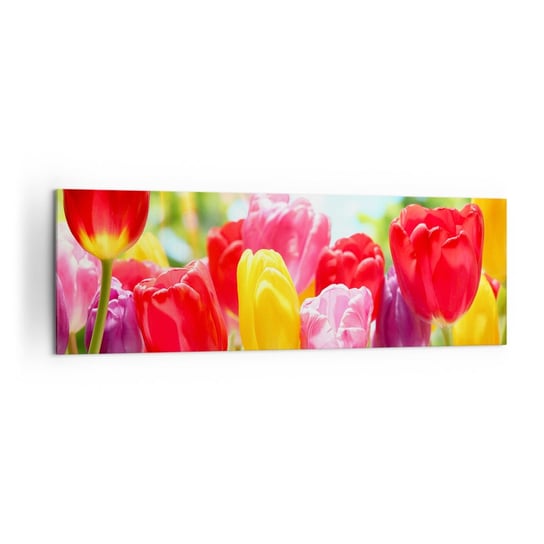 Obraz na płótnie - To my, kolory maja! - 160x50cm - Kwiaty Tulipany Ogród - Nowoczesny foto obraz w ramie do salonu do sypialni ARTTOR ARTTOR