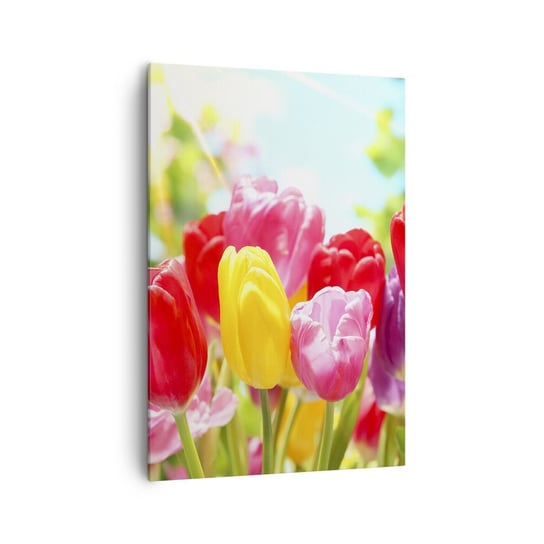 Obraz na płótnie - To my, kolory maja! - 70x100cm - Kwiaty Tulipany Ogród - Nowoczesny foto obraz w ramie do salonu do sypialni ARTTOR ARTTOR