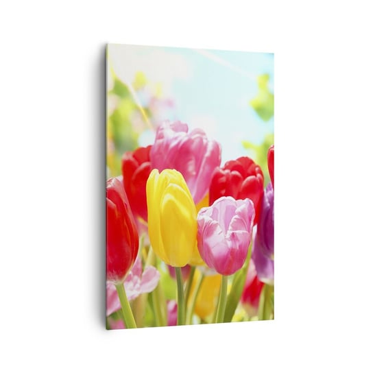 Obraz na płótnie - To my, kolory maja! - 80x120cm - Kwiaty Tulipany Ogród - Nowoczesny obraz na ścianę do salonu do sypialni ARTTOR ARTTOR
