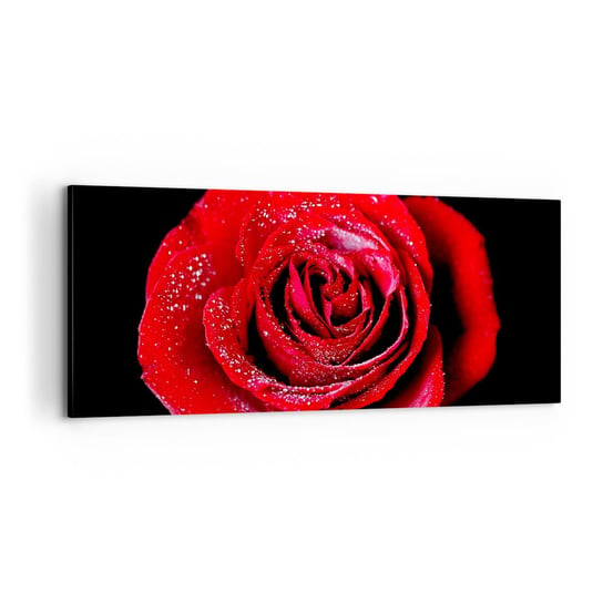 Obraz na płótnie - To właśnie miłość - 100x40cm - Kwiaty Czerwona Róża Płatki Róży - Nowoczesny foto obraz w ramie do salonu do sypialni ARTTOR ARTTOR