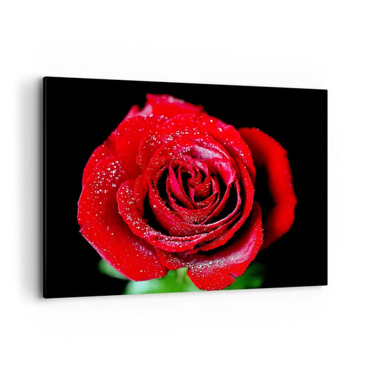 Obraz na płótnie - To właśnie miłość - 100x70cm - Kwiaty Czerwona Róża Płatki Róży - Nowoczesny foto obraz w ramie do salonu do sypialni ARTTOR ARTTOR