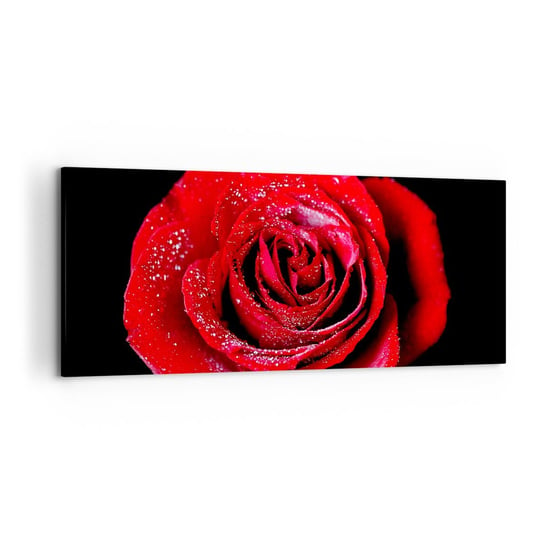 Obraz na płótnie - To właśnie miłość - 120x50cm - Kwiaty Czerwona Róża Płatki Róży - Nowoczesny obraz na ścianę do salonu do sypialni ARTTOR ARTTOR