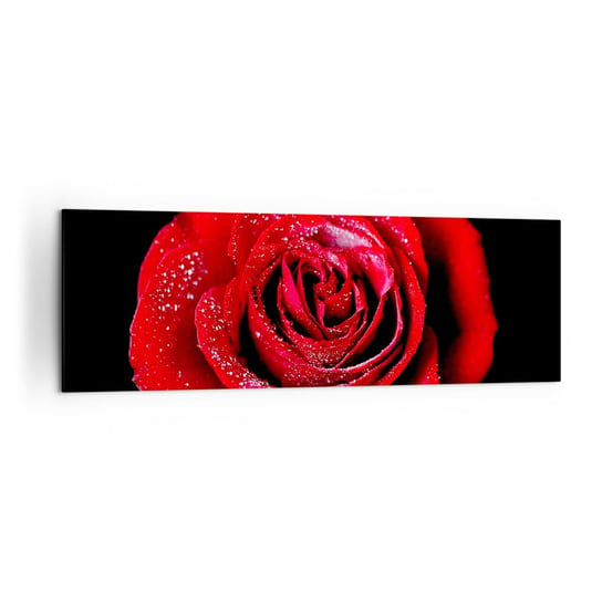 Obraz na płótnie - To właśnie miłość - 160x50cm - Kwiaty Czerwona Róża Płatki Róży - Nowoczesny foto obraz w ramie do salonu do sypialni ARTTOR ARTTOR