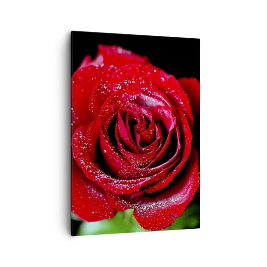 Obraz na płótnie - To właśnie miłość - 50x70cm - Kwiaty Czerwona Róża Płatki Róży - Nowoczesny Canvas obraz do salonu do sypialni ARTTOR ARTTOR