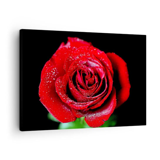 Obraz na płótnie - To właśnie miłość - 70x50cm - Kwiaty Czerwona Róża Płatki Róży - Nowoczesny Canvas obraz do salonu do sypialni ARTTOR ARTTOR