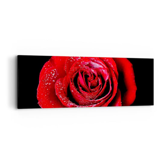 Obraz na płótnie - To właśnie miłość - 90x30cm - Kwiaty Czerwona Róża Płatki Róży - Nowoczesny Canvas obraz do salonu do sypialni ARTTOR ARTTOR