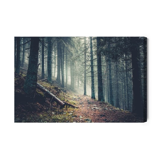 Obraz Na Płótnie Trail In A Dark Pine Forest On The Slopes Of The Mountain. Carpathians, Ukraine, Europe. Beauty World. Vintage Inna marka