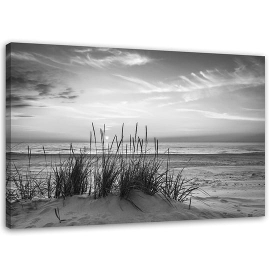 Obraz na płótnie, Trawy na plaży - czarno-biały - 100x70 Inna marka