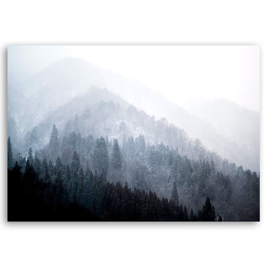 Obraz na płótnie Trees In The Mist 50x80 Legendarte