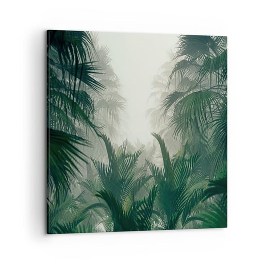 Obraz na płótnie - Tropikalna tajemnica - 50x50 cm - Obraz nowoczesny - Dżungla, Palma Kokosowa, Las, Natura, Las Tropikalny - AC50x50-4504 ARTTOR