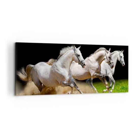 Obraz na płótnie - Trzy Gracje - 100x40cm - Konie Zwierzęta Galop - Nowoczesny foto obraz w ramie do salonu do sypialni ARTTOR ARTTOR