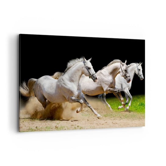 Obraz na płótnie - Trzy Gracje - 100x70cm - Konie Zwierzęta Galop - Nowoczesny foto obraz w ramie do salonu do sypialni ARTTOR ARTTOR