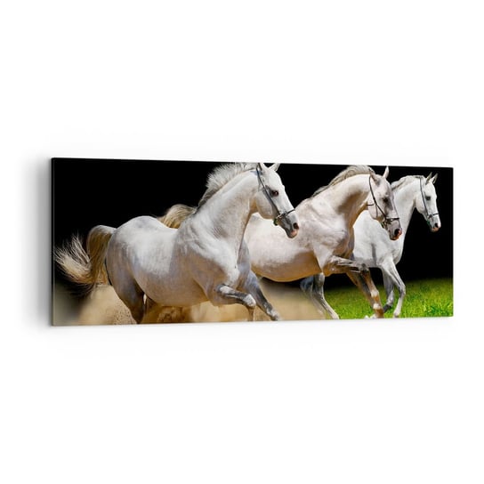 Obraz na płótnie - Trzy Gracje - 140x50cm - Konie Zwierzęta Galop - Nowoczesny Canvas obraz do salonu do sypialni ARTTOR ARTTOR