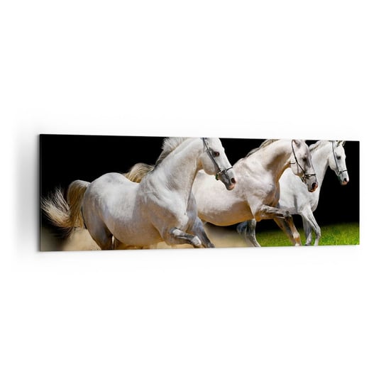 Obraz na płótnie - Trzy Gracje - 160x50cm - Konie Zwierzęta Galop - Nowoczesny foto obraz w ramie do salonu do sypialni ARTTOR ARTTOR