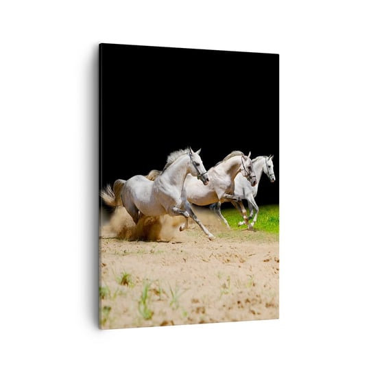 Obraz na płótnie - Trzy Gracje - 50x70cm - Konie Zwierzęta Galop - Nowoczesny Canvas obraz do salonu do sypialni ARTTOR ARTTOR