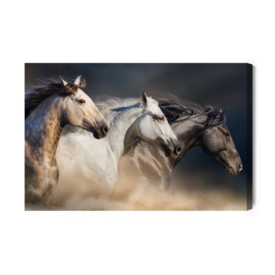 Obraz Na Płótnie Trzy Konie W Galopie 70x50 Inna marka