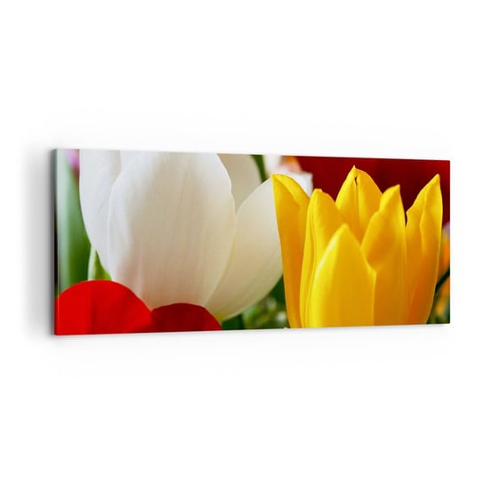 Obraz na płótnie - Tulipanowa gorączka - 100x40cm - Kwiaty Tulipany Bukiet Kwiatów - Nowoczesny foto obraz w ramie do salonu do sypialni ARTTOR ARTTOR