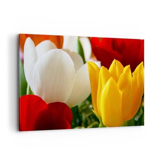 Obraz na płótnie - Tulipanowa gorączka - 100x70cm - Kwiaty Tulipany Bukiet Kwiatów - Nowoczesny foto obraz w ramie do salonu do sypialni ARTTOR ARTTOR