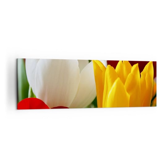 Obraz na płótnie - Tulipanowa gorączka - 160x50cm - Kwiaty Tulipany Bukiet Kwiatów - Nowoczesny foto obraz w ramie do salonu do sypialni ARTTOR ARTTOR