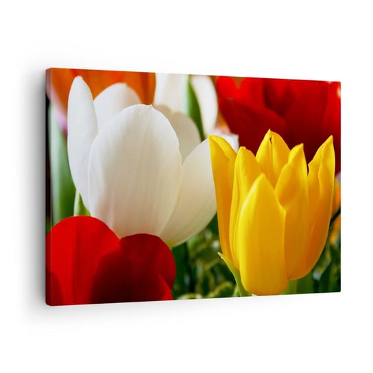 Obraz na płótnie - Tulipanowa gorączka - 70x50cm - Kwiaty Tulipany Bukiet Kwiatów - Nowoczesny Canvas obraz do salonu do sypialni ARTTOR ARTTOR