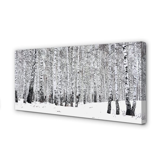 Obraz na płótnie TULUP Drzewa zima śnieg brzozy 100x50 cm Tulup