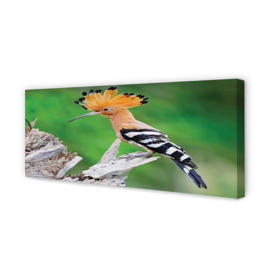Obraz na płótnie TULUP Drzewo kolorowa papuga 125x50 cm cm Tulup