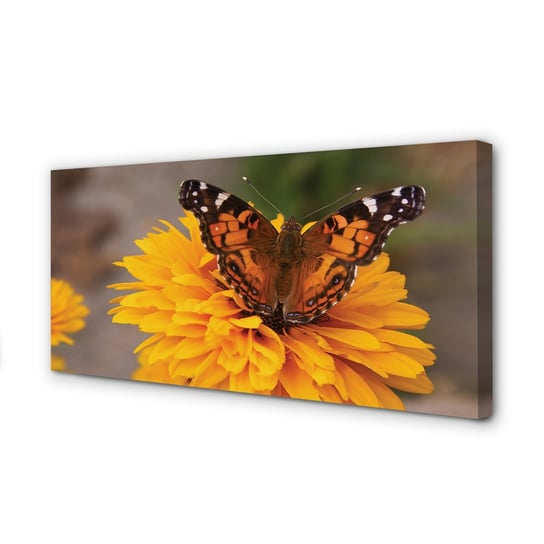 Obraz na płótnie TULUP Kolorowy motyl kwiat 100x50 cm Tulup