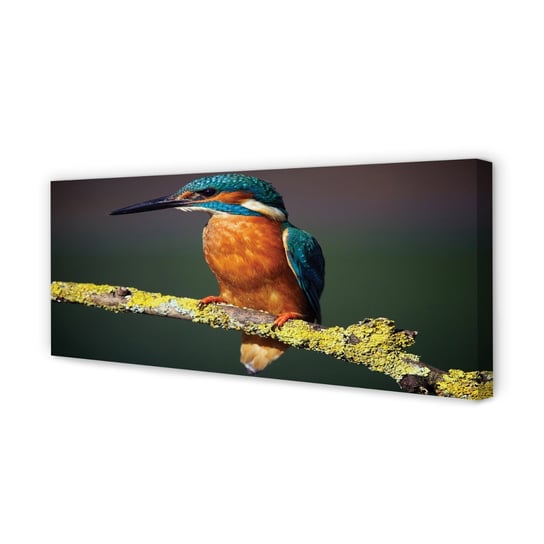 Obraz na płótnie TULUP Kolorowy ptak na gałęzi 125x50 cm Tulup