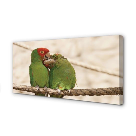 Obraz na płótnie TULUP nowoczesny Zielone papugi 120x60 cm Tulup