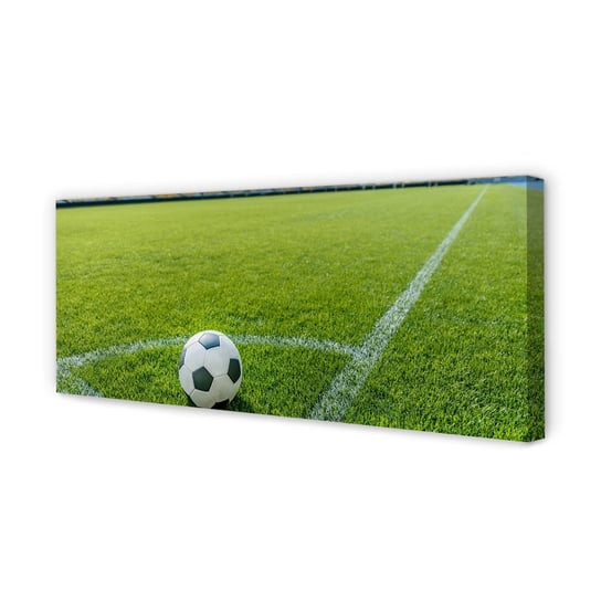 Obraz na płótnie TULUP Stadion piłka trawa 125x50 cm cm Tulup