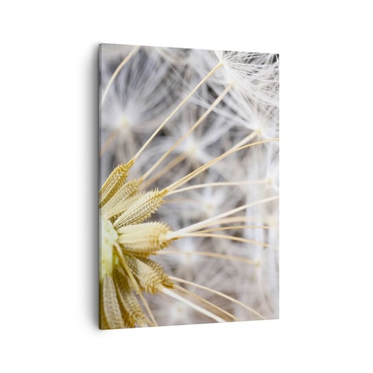 Obraz na płótnie - Tuż przed odlotem - 50x70cm - Kwiat Roślina Natura - Nowoczesny Canvas obraz do salonu do sypialni ARTTOR ARTTOR