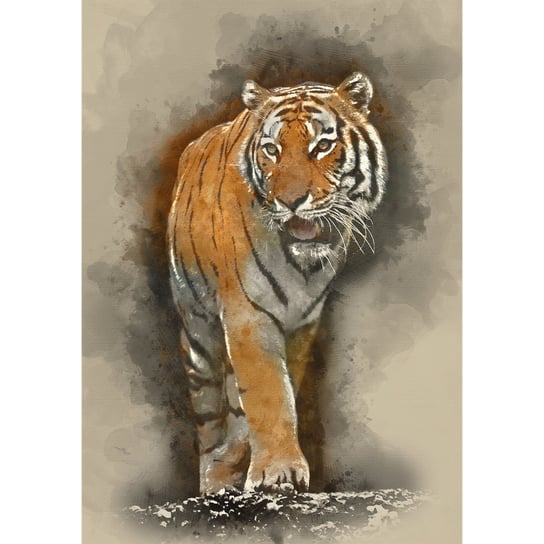Obraz na płótnie: Tygrys, 100x70 cm Art-Canvas