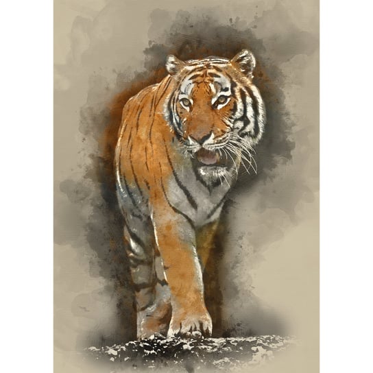 Obraz na płótnie: Tygrys, 50x70 cm Art-Canvas