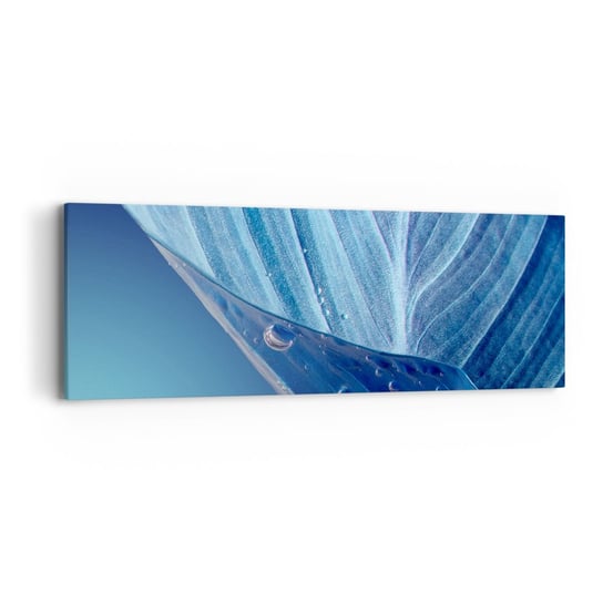 Obraz na płótnie - Ukryte krople błękitu - 90x30cm - Liść Roślina Natura - Nowoczesny Canvas obraz do salonu do sypialni ARTTOR ARTTOR
