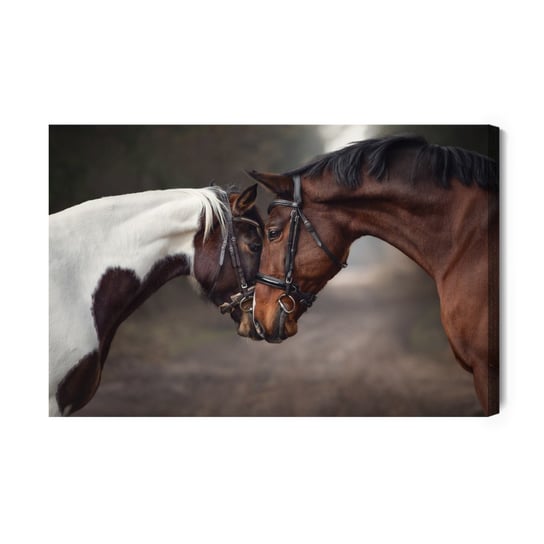 Obraz Na Płótnie Urocze Konie W Lesie 40x30 Inna marka